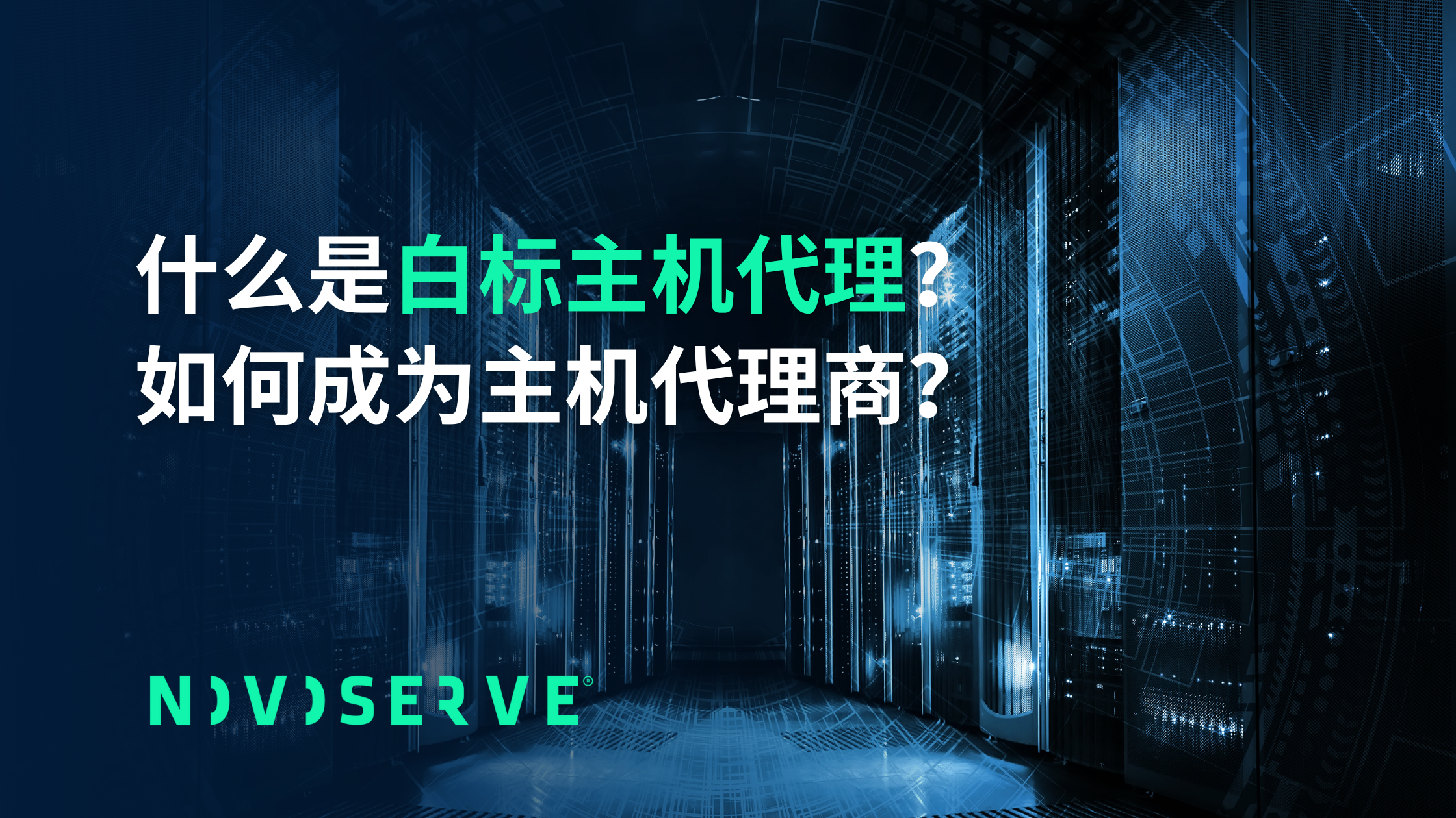 白标主机代理商